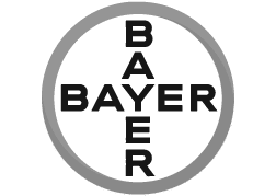 bayer
